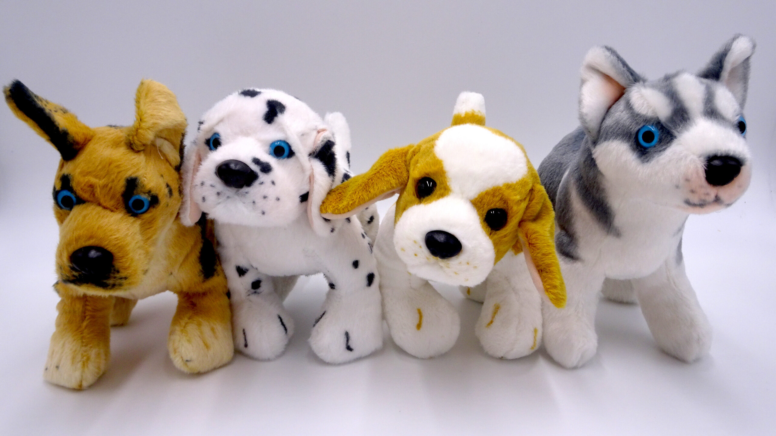 micro teacup chihuahua puppies for sale